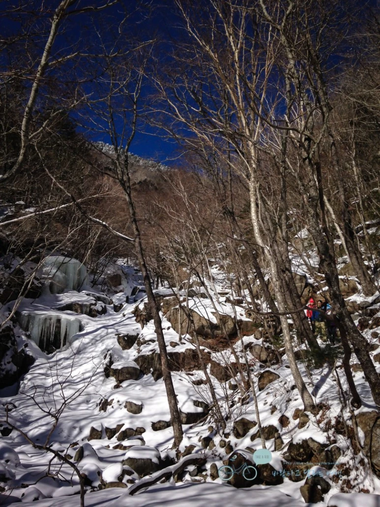 IMG_2896_Wide1080Watermark.jpg?type=w773