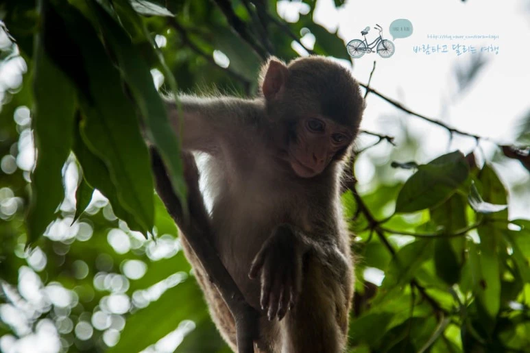 IMG_1305_wide1080%EB%B0%94%EB%9E%8Cmark.jpg?type=w773