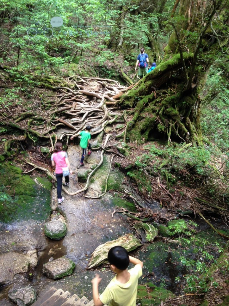 IMG_1479_wide1080.jpg?type=w773