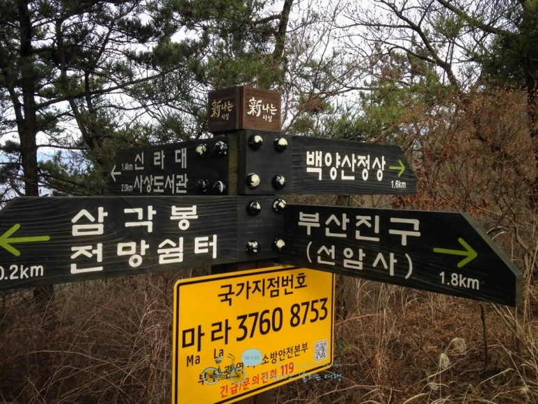 IMG_1282-_Wide1080mark%EB%B0%94%EB%9E%8C.jpg?type=w773