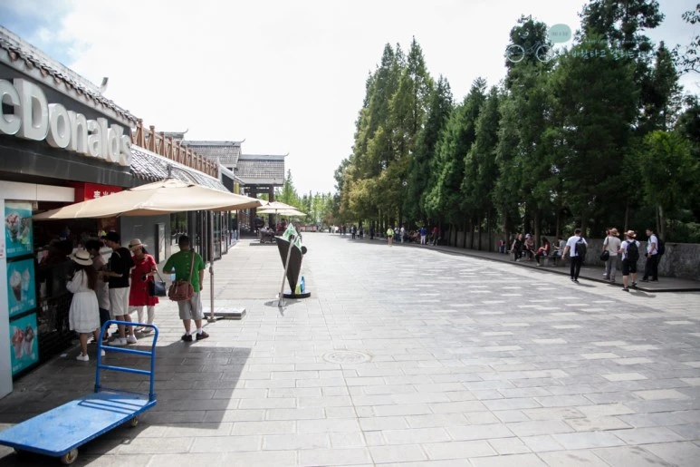 IMG_1186_Wide1080mark%EB%B0%94%EB%9E%8C.jpg?type=w773