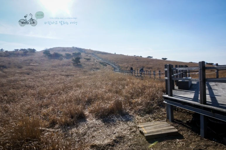 DSC04550_wide1080mark.jpg?type=w773