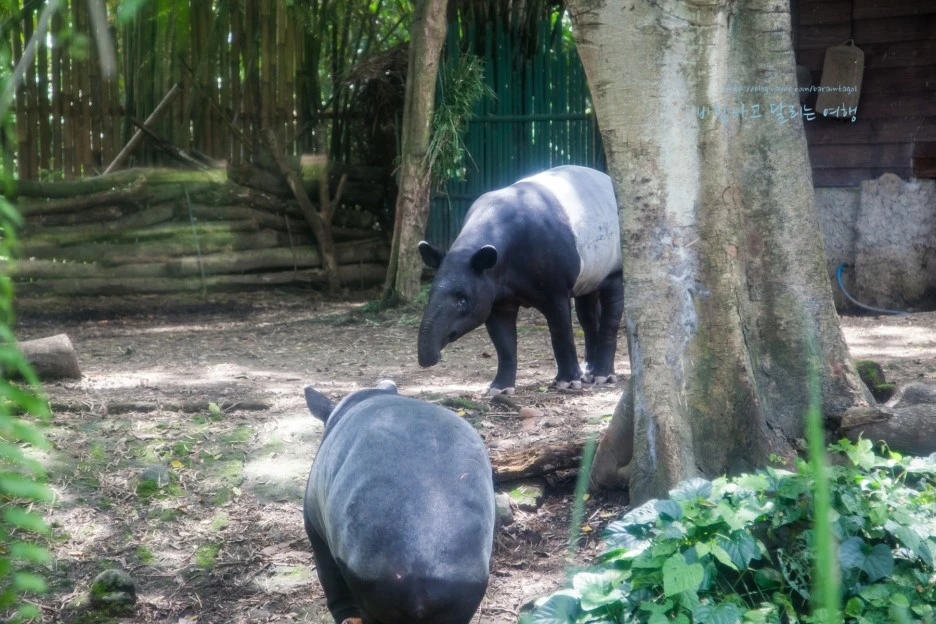 5D_IMG_2693_Short1200mark%EB%B0%94%EB%9E%8C.jpg?type=w1