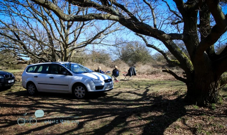 IMG_3695.jpg?type=w773