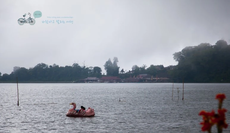 IMG_0403_Wide1080mark%EB%B0%94%EB%9E%8C%ED%83%80%EA%B3%A0.jpg?type=w773