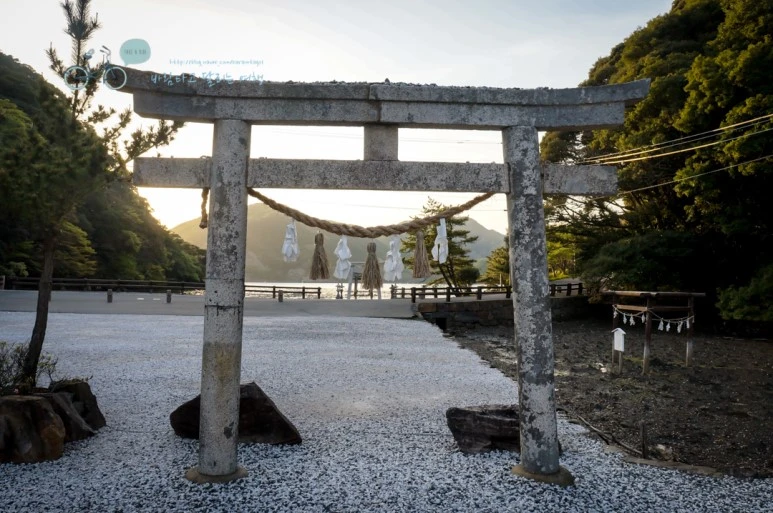 DSC07986_wide1080mark.jpg?type=w773