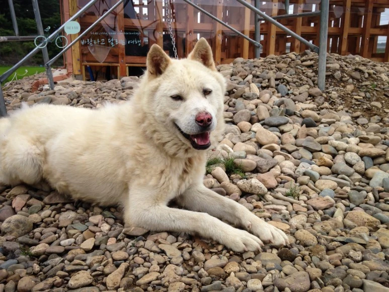 IMG_0633_Wide1080mark.jpg?type=w773