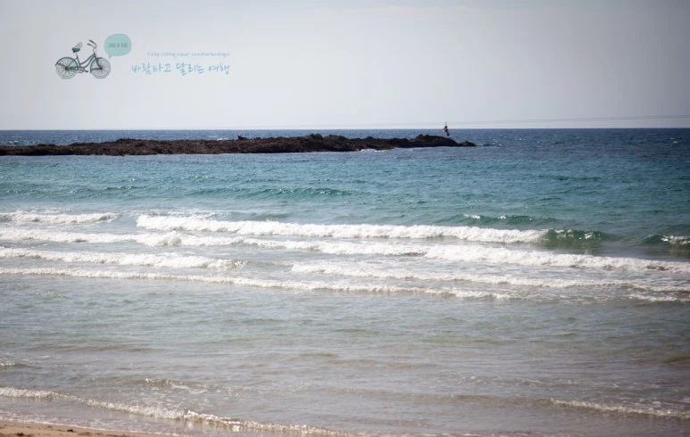 IMG_2250_Wide1080mark%EB%B0%94%EB%9E%8C%ED%83%80%EA%B3%A0.jpg?type=w773