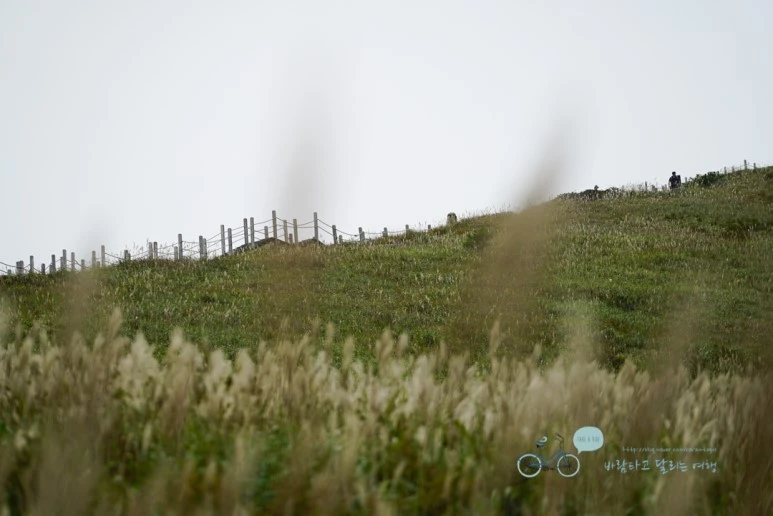 DSC00022_Wide1080mark.jpg?type=w773