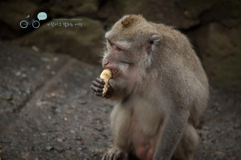 IMG_0101_Wide1080mark%EB%B0%94%EB%9E%8C%ED%83%80%EA%B3%A0-2.jpg?type=w773