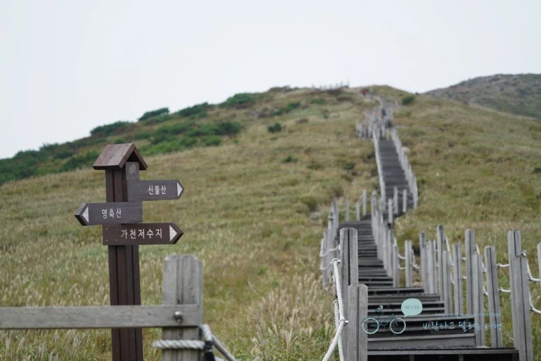 DSC00026_Wide1080mark.jpg?type=w773