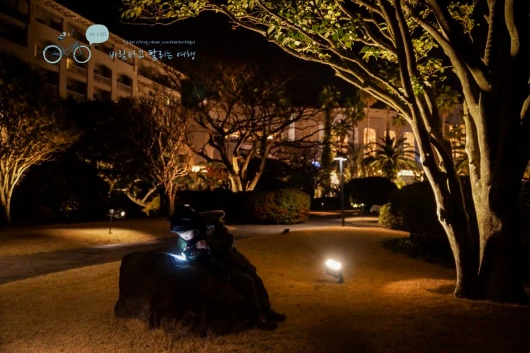 DSC00472.jpg?type=w773