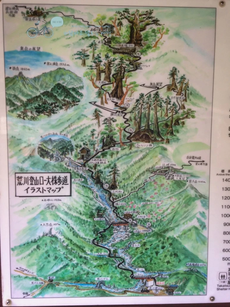 IMG_1240_wide1080.jpg?type=w773