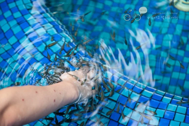 IMG_0512_wide1080%EB%B0%94%EB%9E%8Cmark.jpg?type=w773