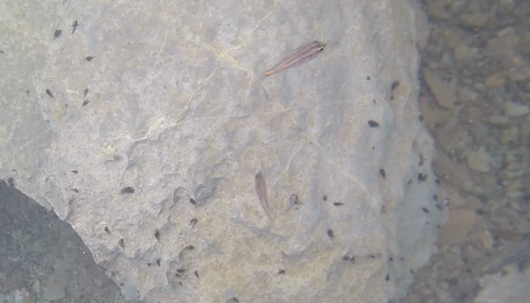 %EC%8A%A4%ED%81%AC%EB%A6%B0%EC%83%B7_2017-07-04_10.15.51.png?type=w773