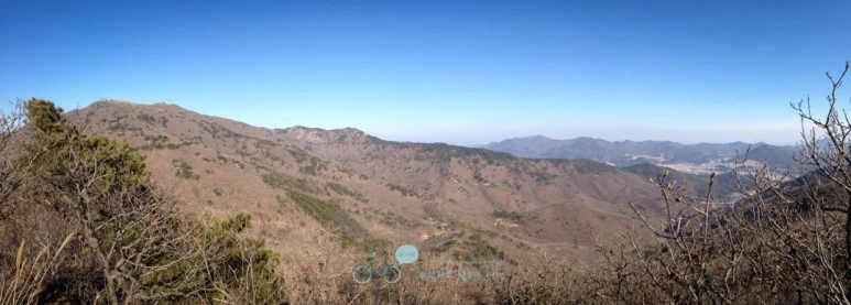 IMG_1474-_Wide1080mark.jpg?type=w773