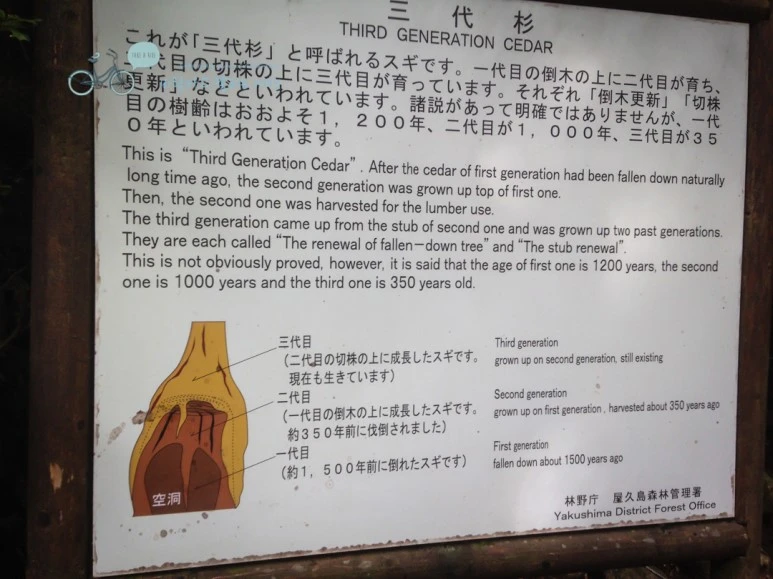 IMG_1288_wide1080.jpg?type=w773