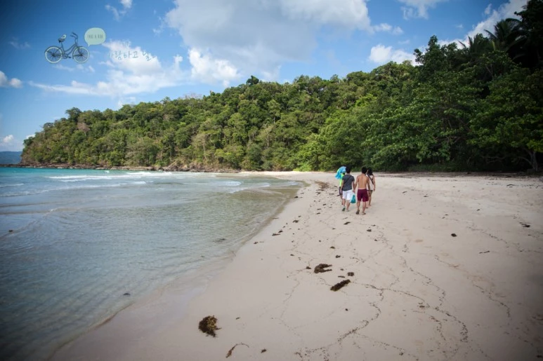 IMG_2258_Wide1080mark%EB%B0%94%EB%9E%8C%ED%83%80%EA%B3%A0.jpg?type=w773