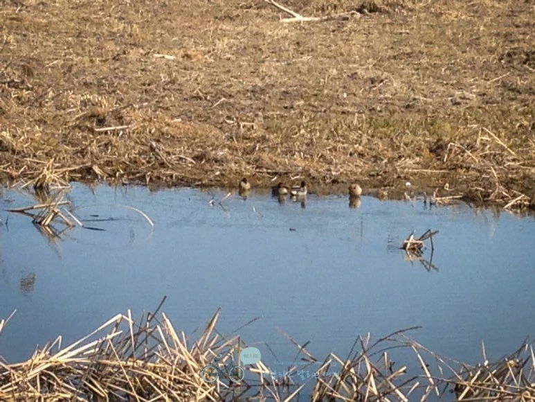 IMG_1800-_Wide1080mark.jpg?type=w773