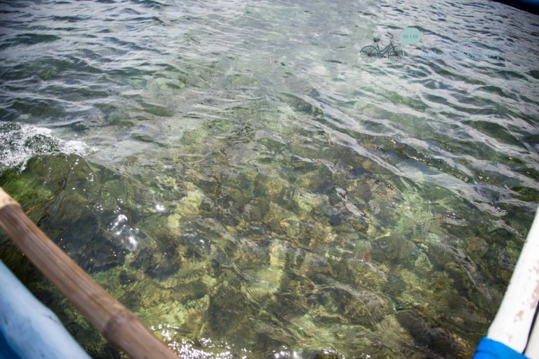 IMG_1979_Wide1080mark%EB%B0%94%EB%9E%8C%ED%83%80%EA%B3%A0.jpg?type=w773