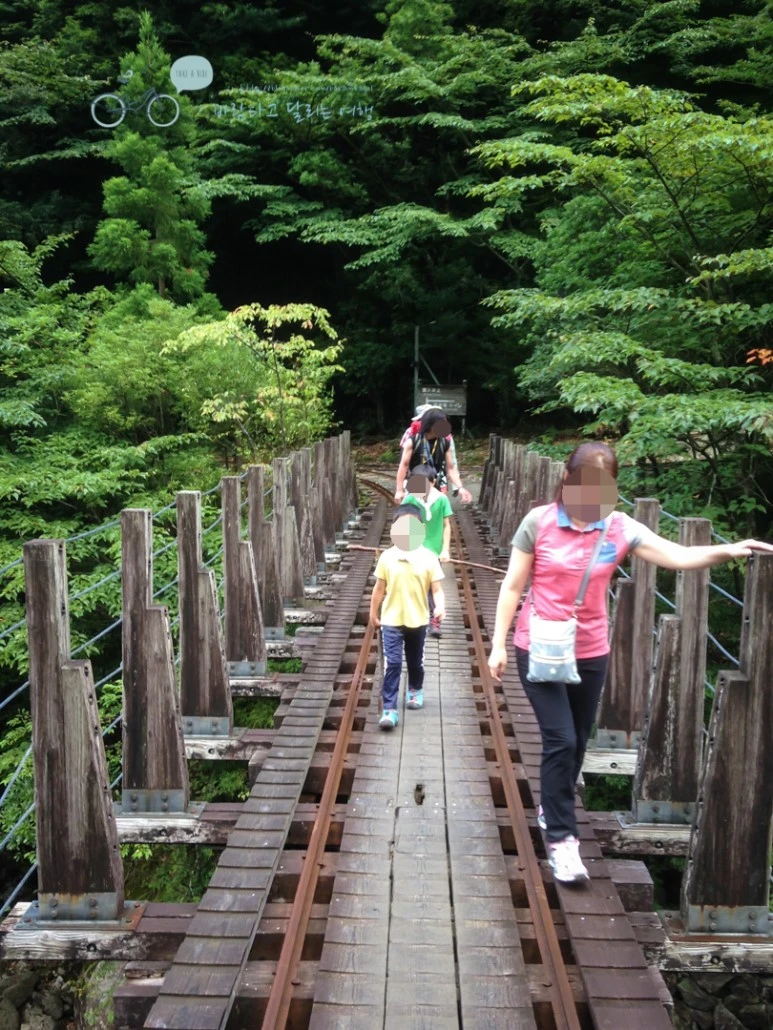 image_6294450291486356747718.jpg?type=w773