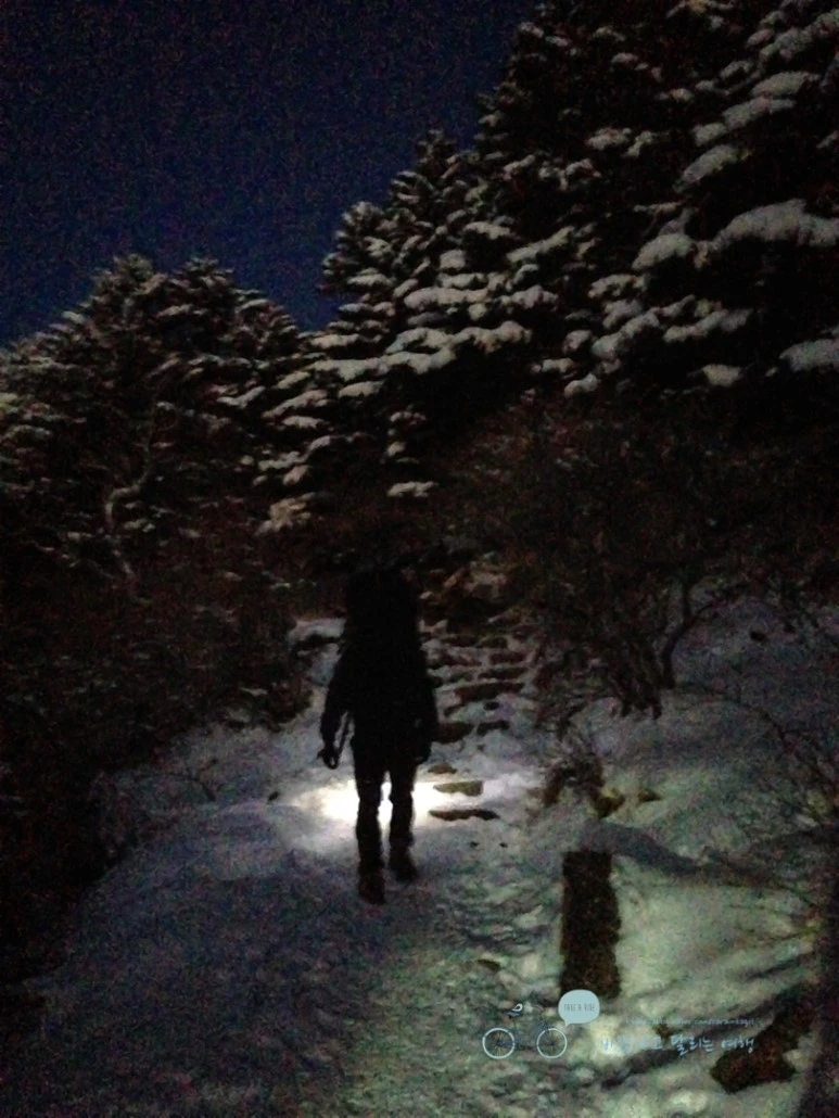 IMG_5267_%EB%B3%B4%EC%A0%95%EC%9B%90%EB%B3%B8_Wide1080_Watermark.jpg?type=w773