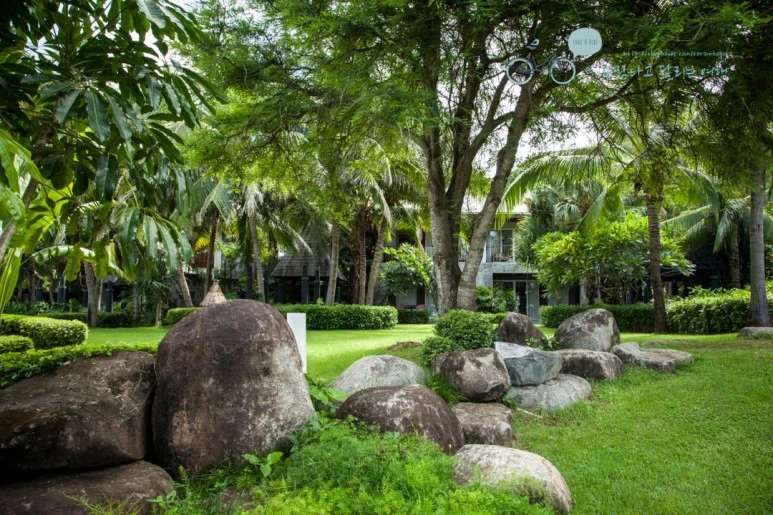 IMG_0164_wide1080%EB%B0%94%EB%9E%8Cmark.jpg?type=w773