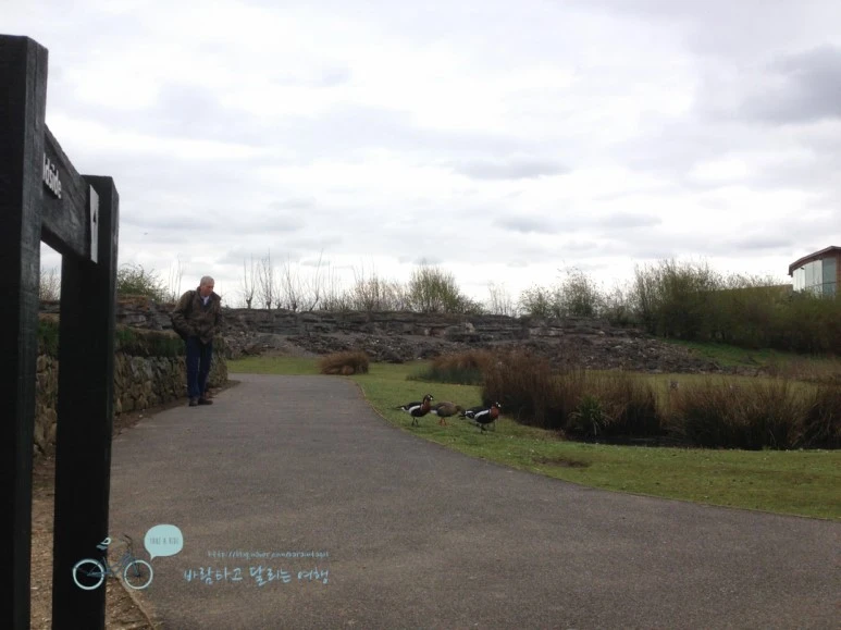 IMG_1768.jpg?type=w773