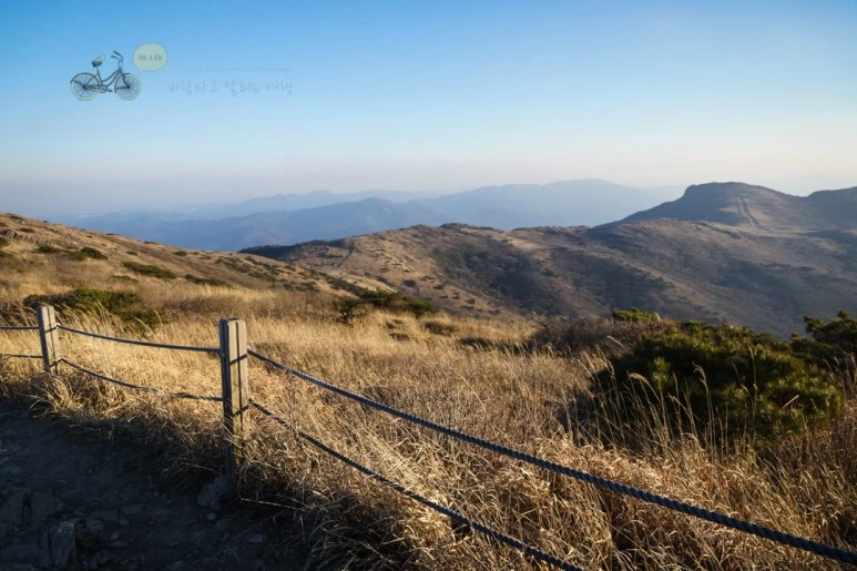 DSC04534_wide1080mark.jpg?type=w773