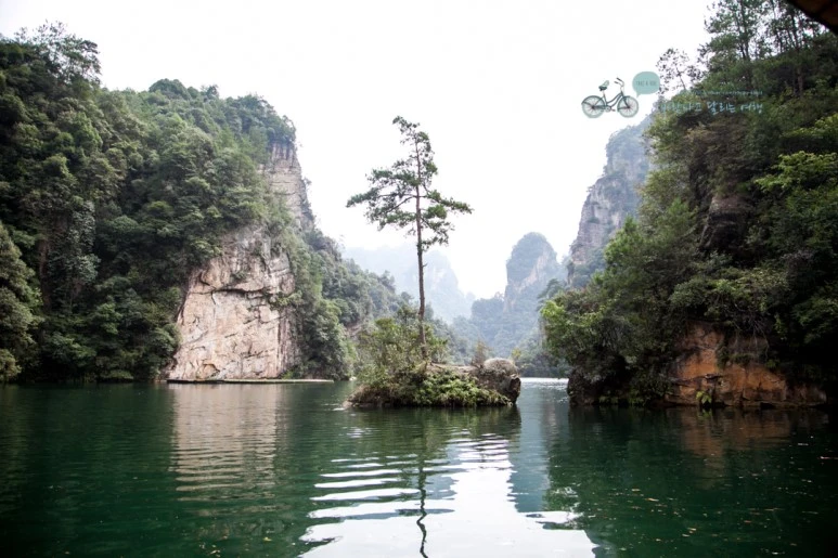 IMG_1364_Wide1080mark%EB%B0%94%EB%9E%8C.jpg?type=w773