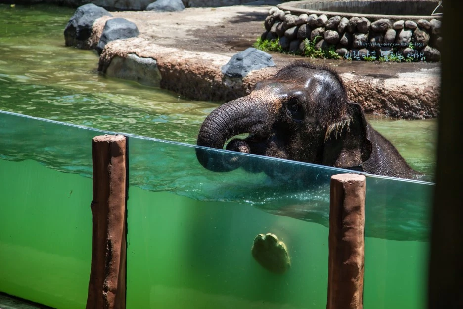 5D_IMG_2605_Short1200mark%EB%B0%94%EB%9E%8C.jpg?type=w1