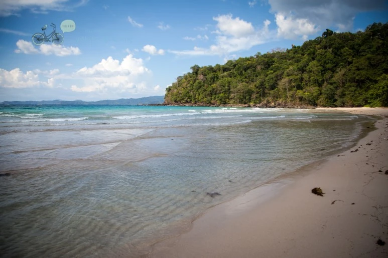 IMG_2256_Wide1080mark%EB%B0%94%EB%9E%8C%ED%83%80%EA%B3%A0.jpg?type=w773