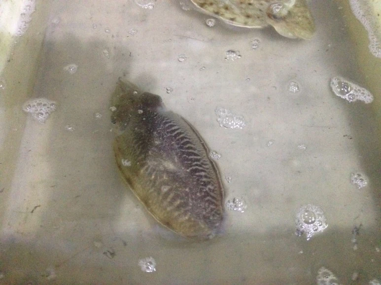 IMG_2726.JPG?type=w773