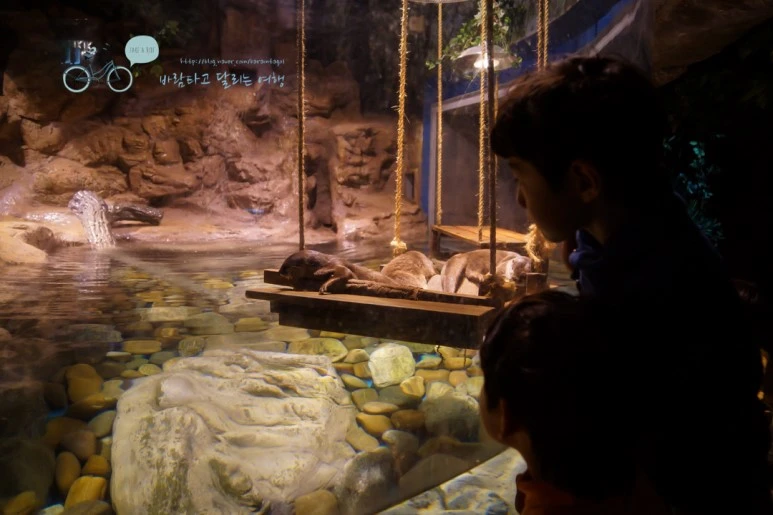 DSC00300_2.jpg?type=w773