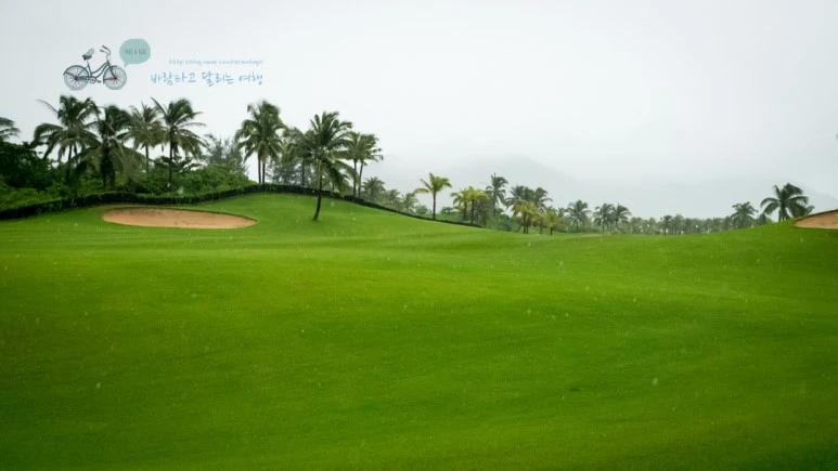 _1000213_wide1080_Wide1080mark_%EB%B0%94%EB%9E%8C.jpg?type=w773