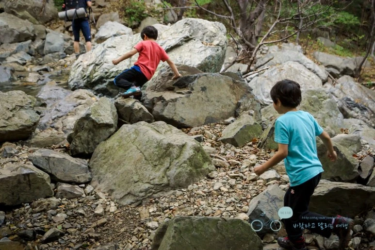 DSC04368_wide1080mark.jpg?type=w773