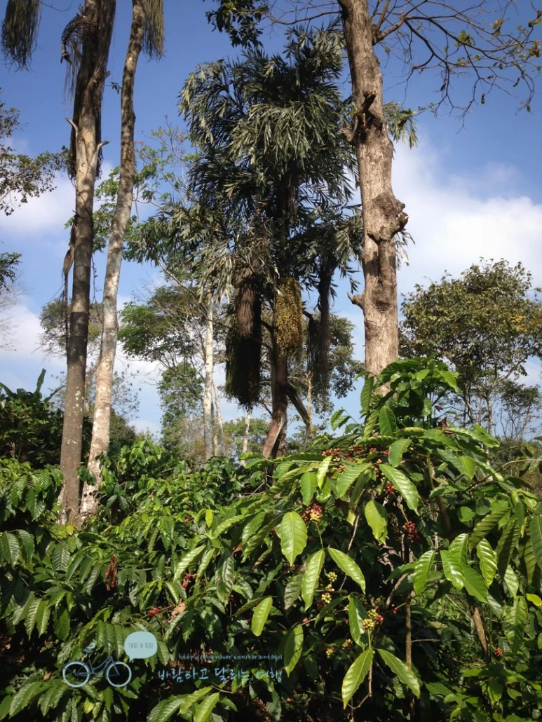 IMG_2823.jpg?type=w773