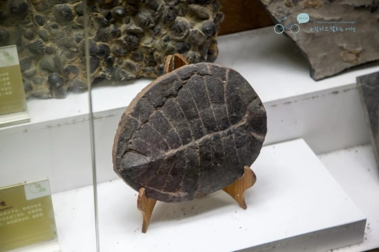 IMG_1401_Wide1080mark%EB%B0%94%EB%9E%8C.jpg?type=w773