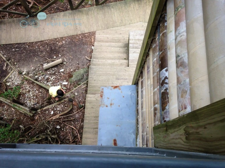 IMG_1461_wide1080.jpg?type=w773