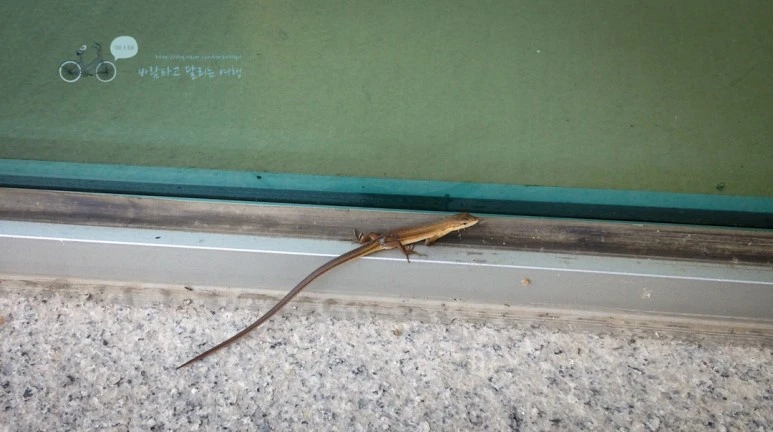 IMG_3431_wide1080mark.jpg?type=w773