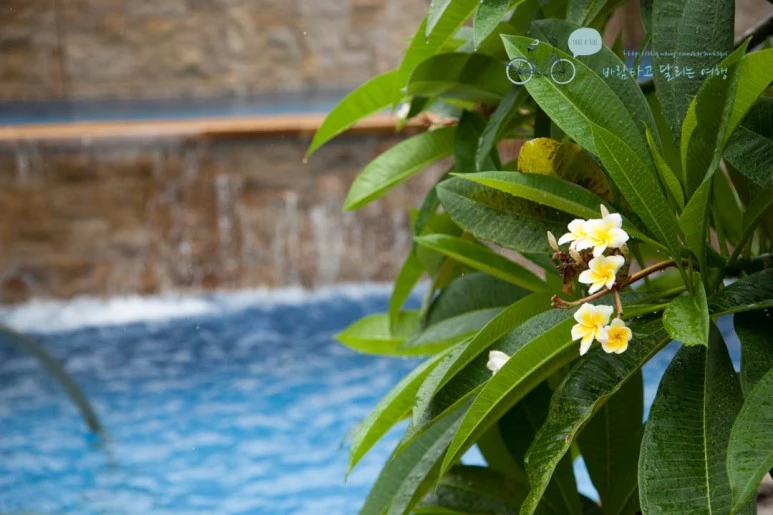 IMG_0077_wide1080%EB%B0%94%EB%9E%8Cmark.jpg?type=w773