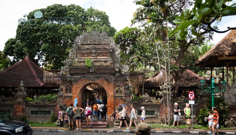 IMG_0314_Wide1080mark%EB%B0%94%EB%9E%8C%ED%83%80%EA%B3%A0-3.jpg?type=w773