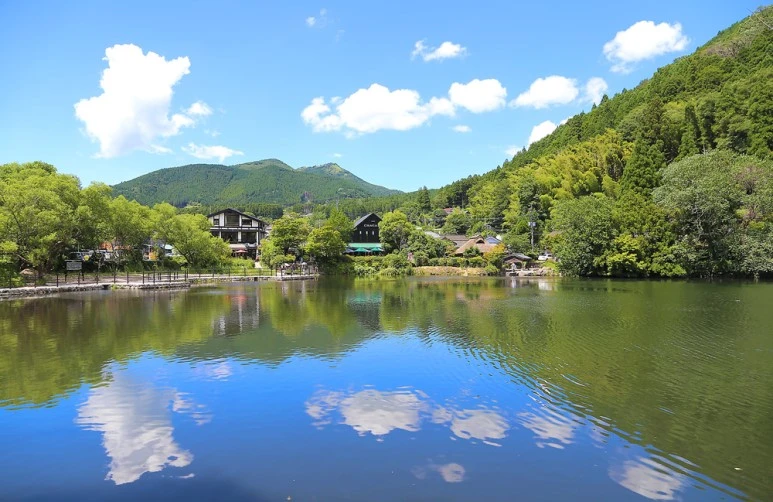 %EA%B8%B4%EB%A6%B0%EC%BD%94%ED%98%B8%EC%88%98.jpg?type=w773