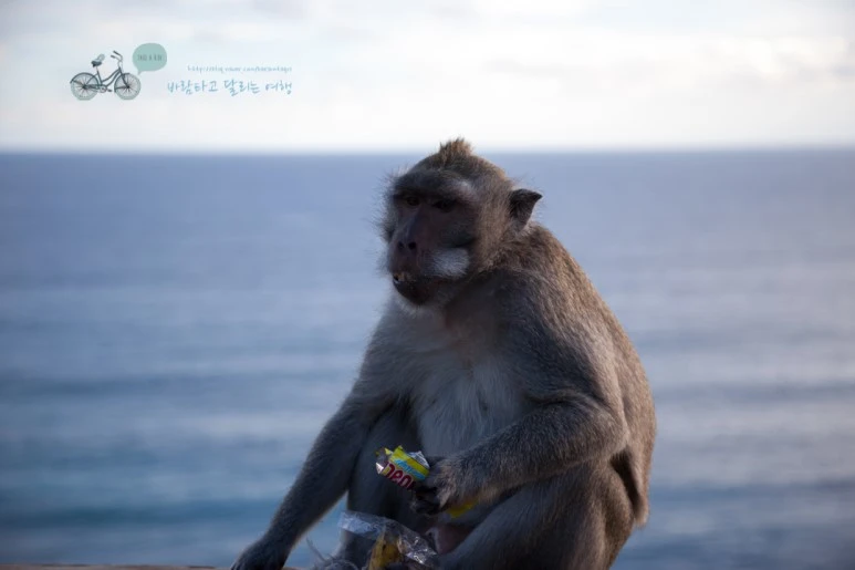 IMG_0614_Wide1080mark%EB%B0%94%EB%9E%8C%ED%83%80%EA%B3%A0.jpg?type=w773