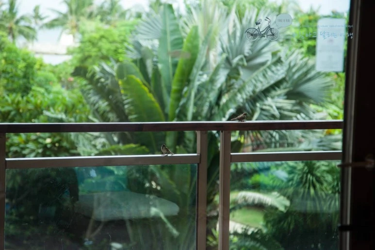 IMG_1745_wide1080%EB%B0%94%EB%9E%8Cmark.jpg?type=w773