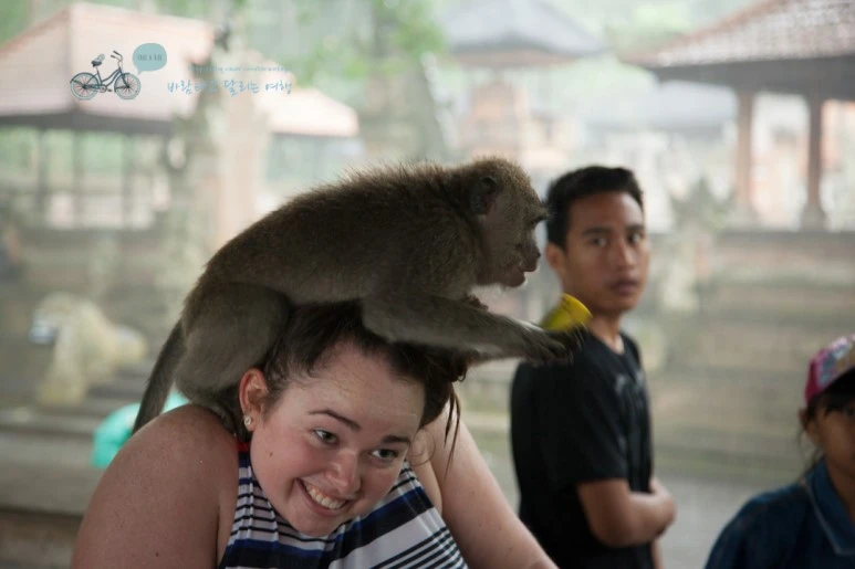 IMG_0181_Wide1080mark%EB%B0%94%EB%9E%8C%ED%83%80%EA%B3%A0-2.jpg?type=w773