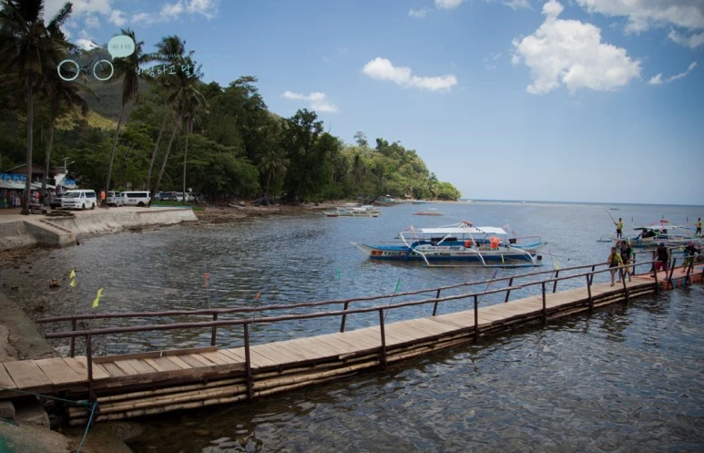 IMG_1962_Wide1080mark%EB%B0%94%EB%9E%8C%ED%83%80%EA%B3%A0.jpg?type=w773