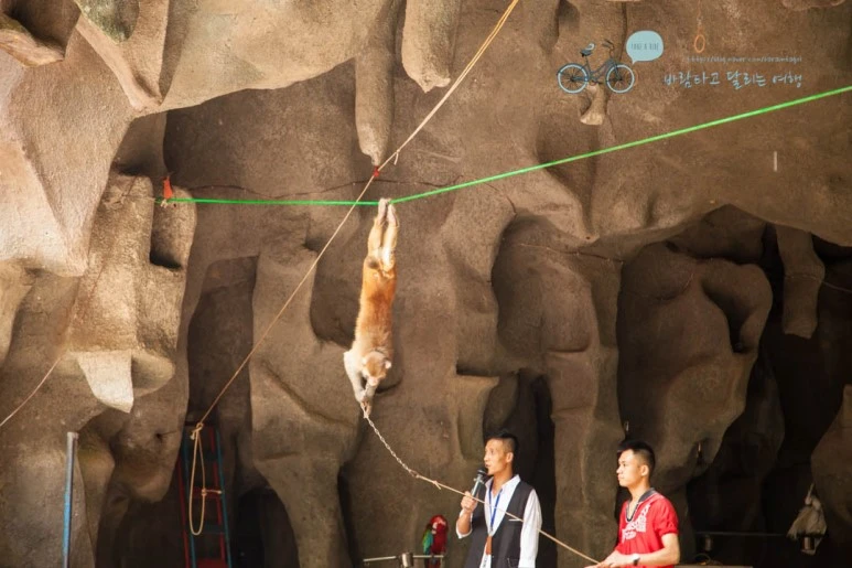 IMG_1368_wide1080%EB%B0%94%EB%9E%8Cmark.jpg?type=w773