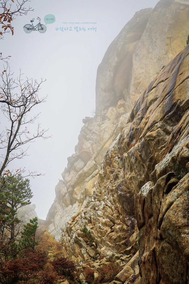 DSC00596_wide1080mark.jpg?type=w773