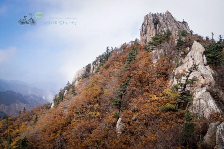 DSC05451_wide1080mark.jpg?type=w773